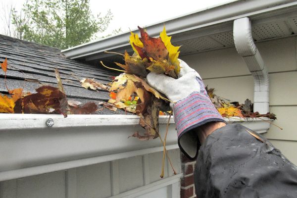 Cost of Eaves Cleaning in Spartanburg