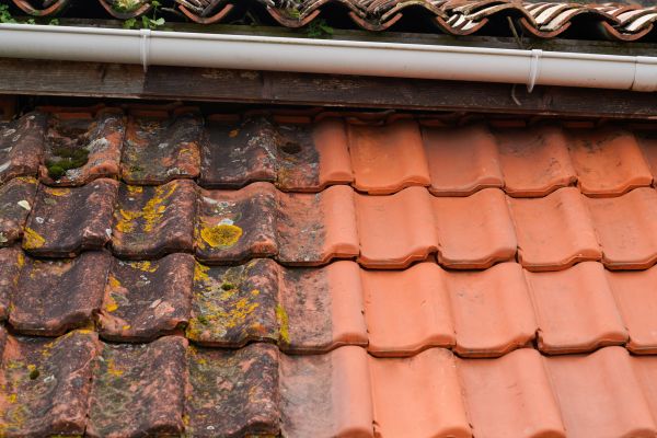 Cost of Industrial Roof Cleaning in Spartanburg